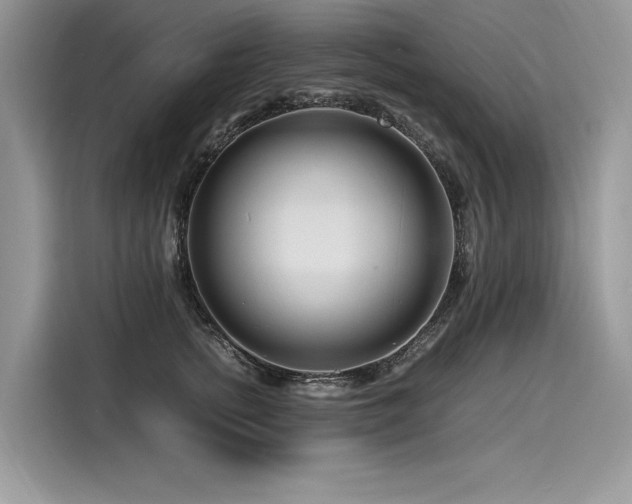 X0000116260758200911301153