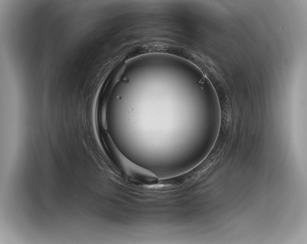 X0000116260759200911301153