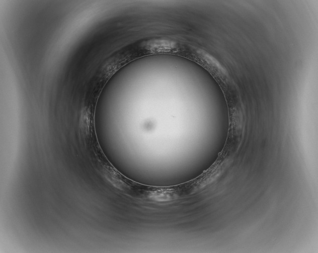 X0000116260761200911301153