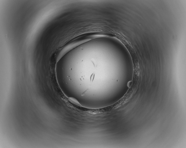 X0000116260763200911301153