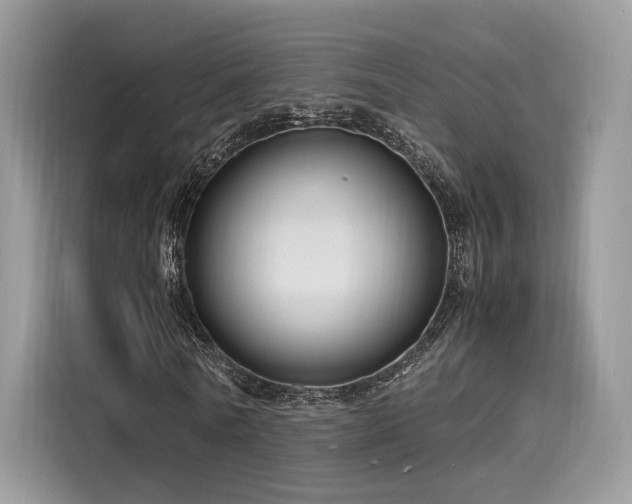 X0000116260770200911301152