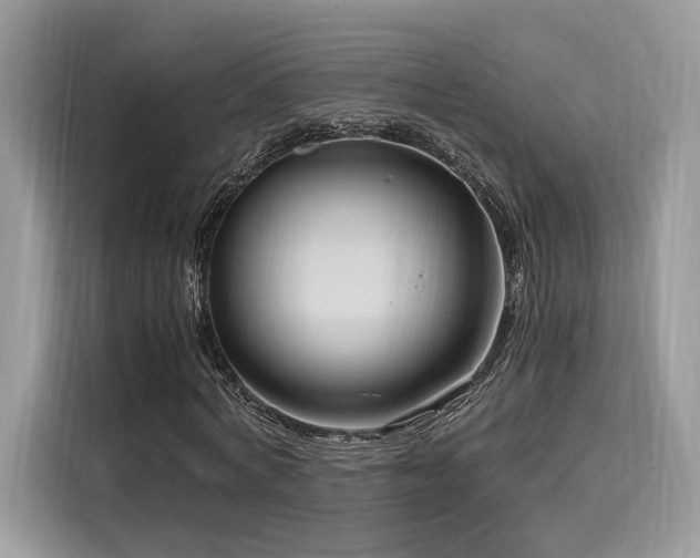 X0000116260772200911301152