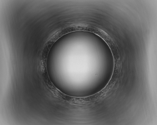 X0000116260774200911301152