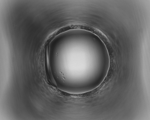 X0000116260775200911301152
