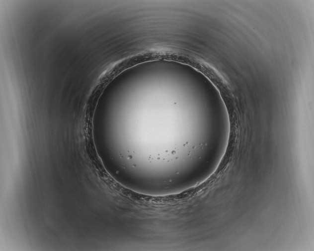 X0000116260776200911301152