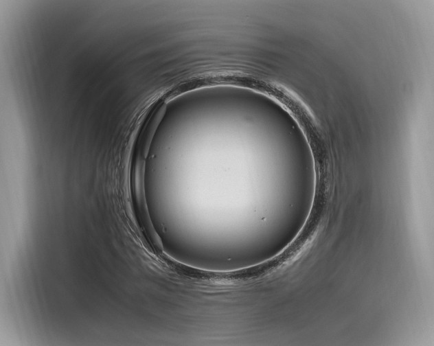 X0000116260777200911301152