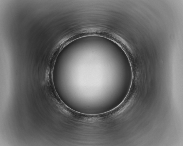 X0000116260778200911301152