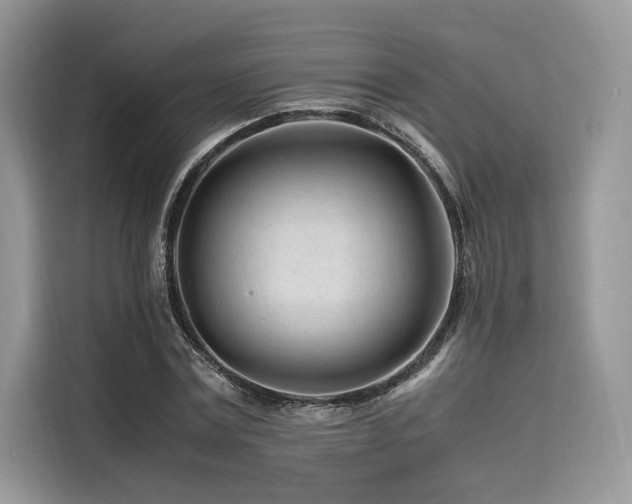 X0000116260779200911301152