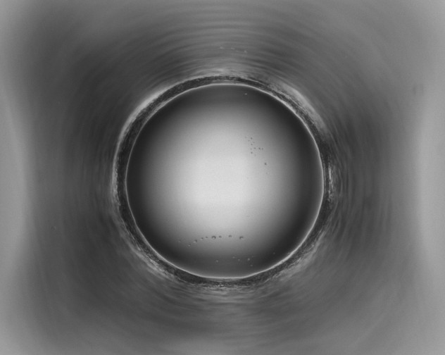 X0000116260780200911301152