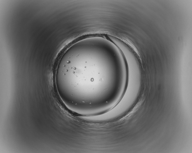 X0000116260781200911301152