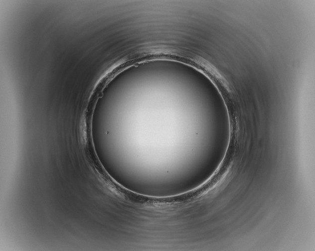 X0000116260782200911301152