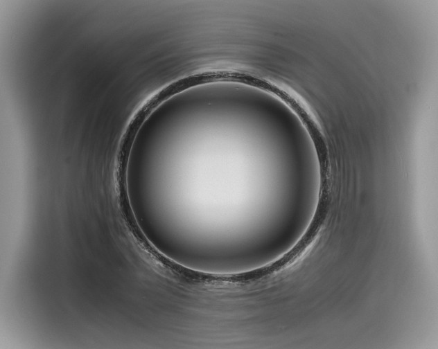 X0000116260783200911301152