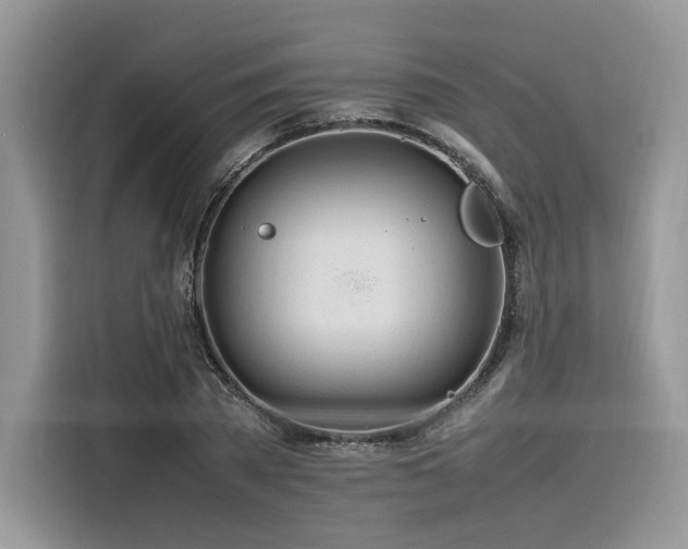 X0000116260785200911301152