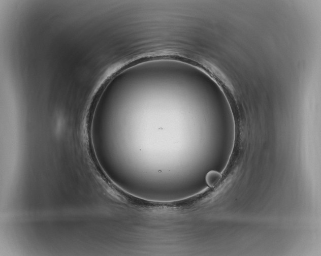 X0000116260789200911301152