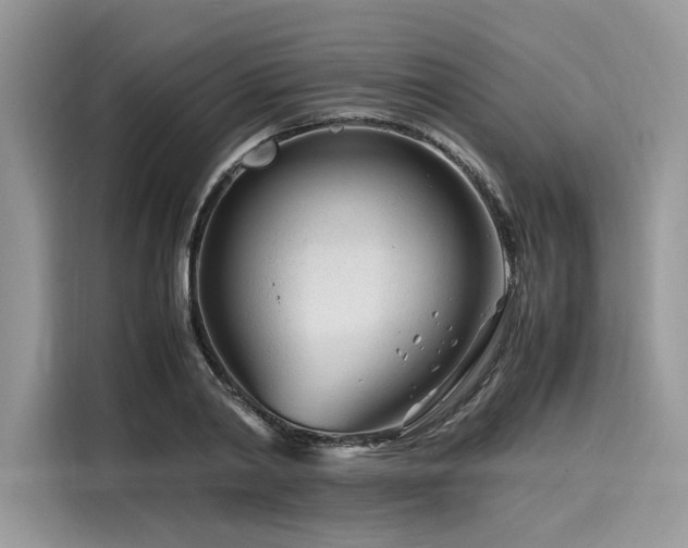 X0000116260790200911301152