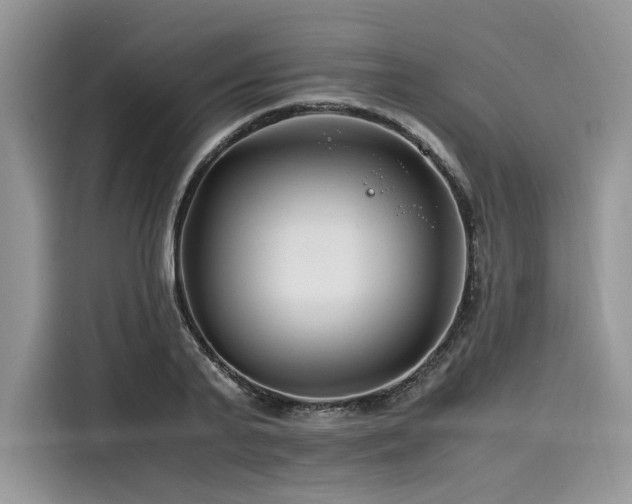 X0000116260791200911301152