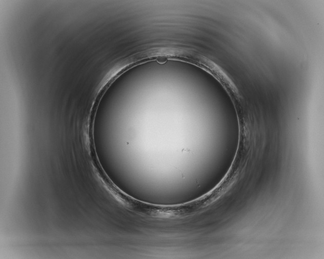 X0000116260794200911301152