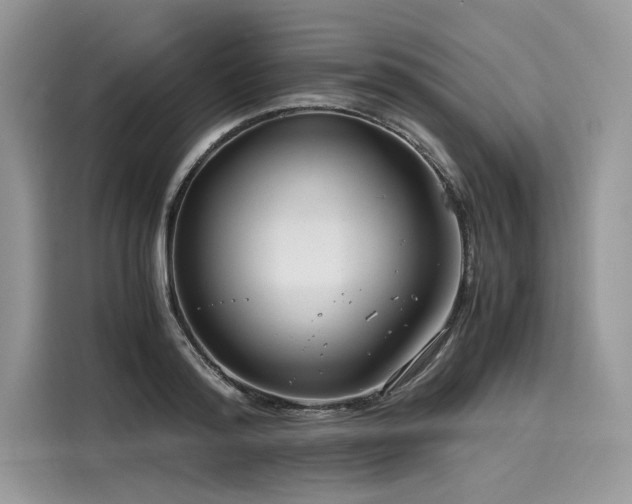 X0000116260796200911301152