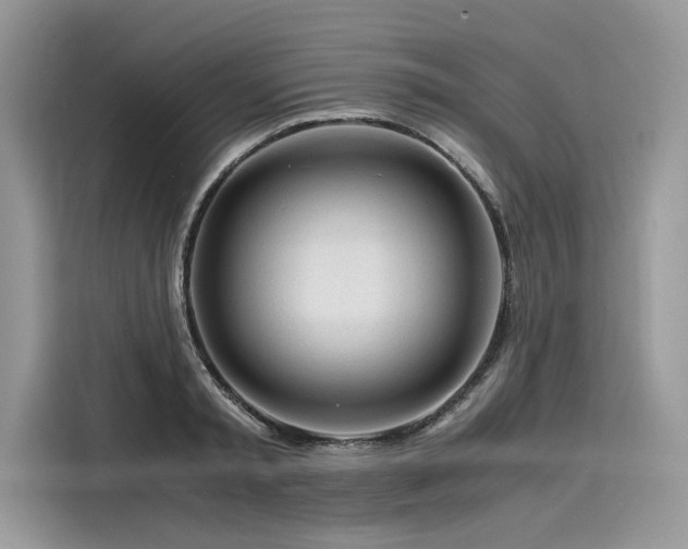 X0000116260797200911301152