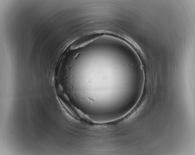 X0000116260801200911301152