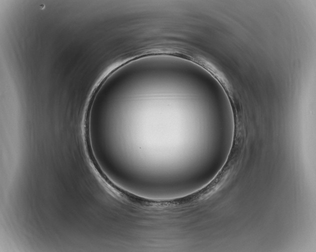 X0000116260803200911301152