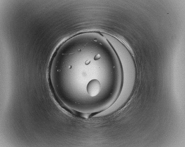 X0000116260805200911301152