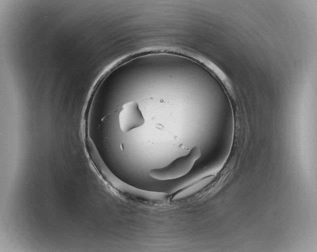 X0000116260807200911301152