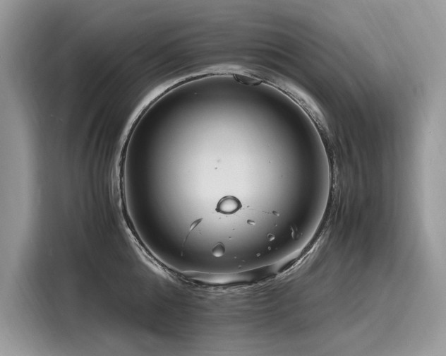 X0000116260808200911301152