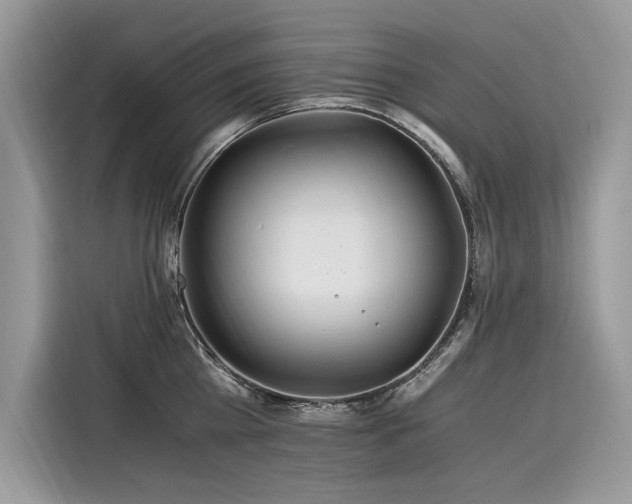 X0000116260809200911301152