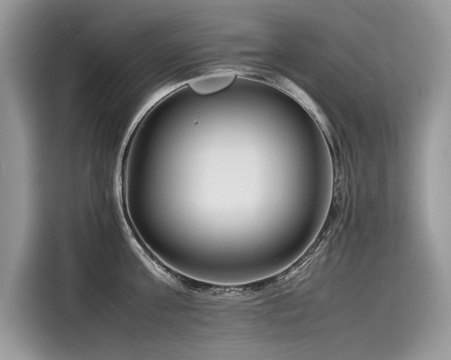 X0000116260811200911301152