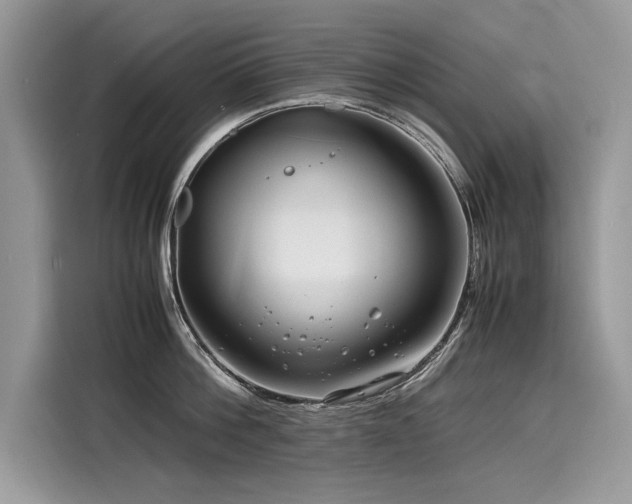 X0000116260812200911301152