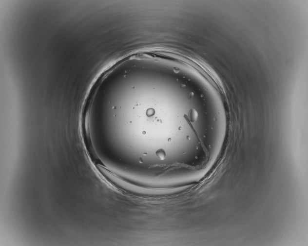 X0000116260813200911301152