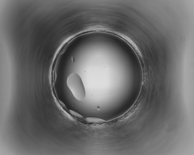 X0000116260815200911301152