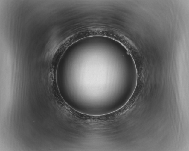 X0000116260821200911301151