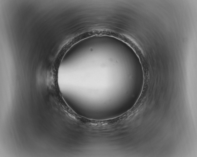 X0000116260823200911301151