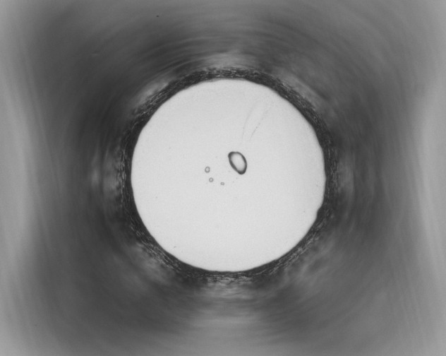 X0000116260824200911301151