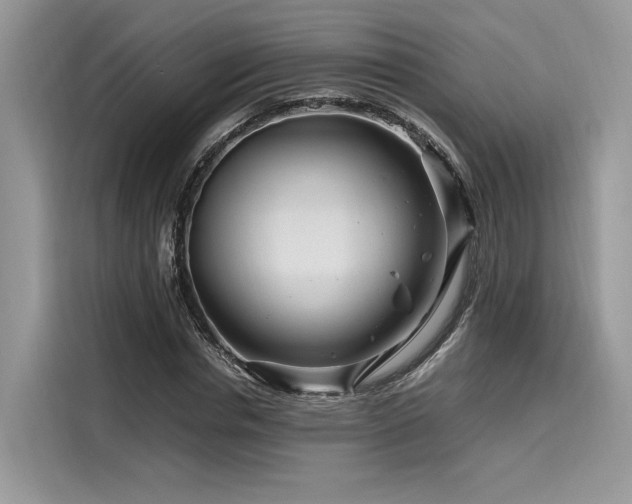 X0000116260826200911301151