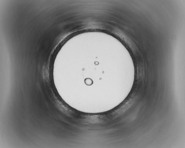 X0000116260828200911301151