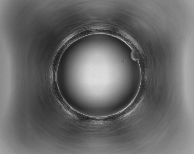 X0000116260829200911301151