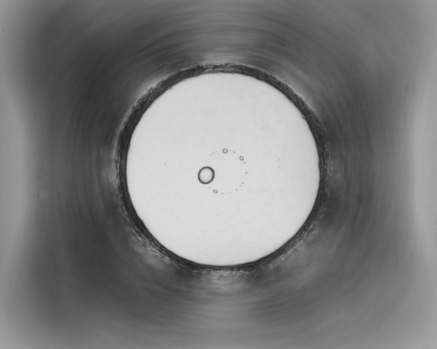 X0000116260832200911301151