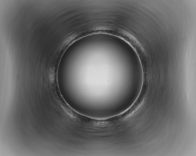 X0000116260833200911301151