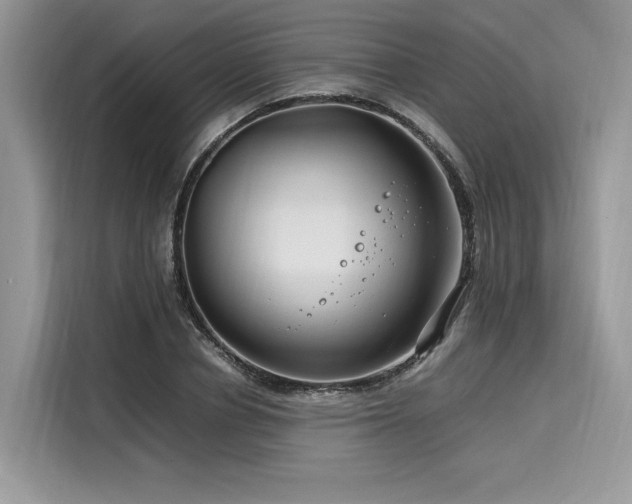X0000116260834200911301151