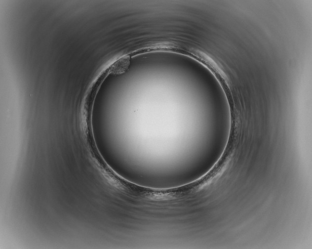 X0000116260835200911301151