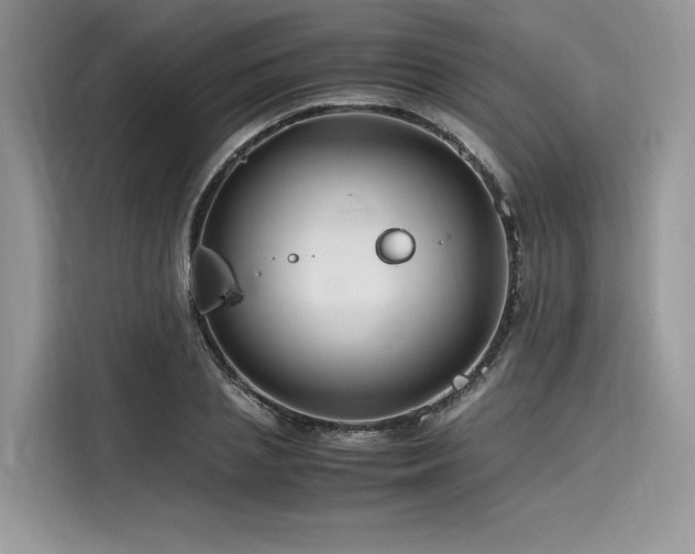 X0000116260837200911301151