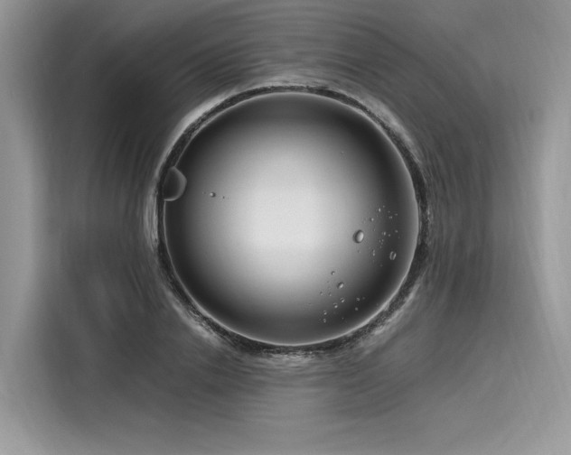 X0000116260838200911301151