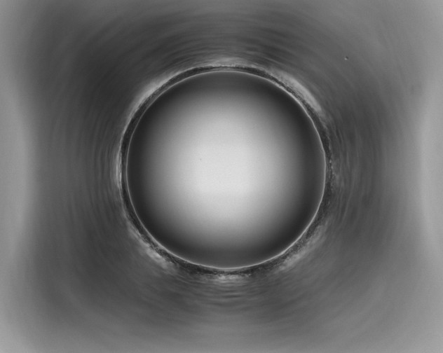 X0000116260839200911301151