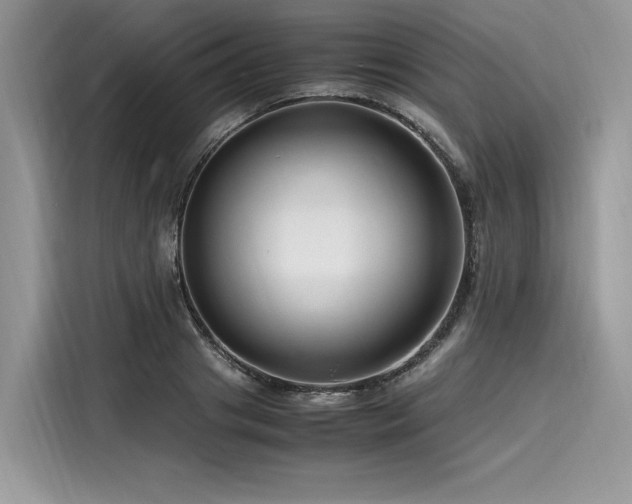 X0000116260841200911301151