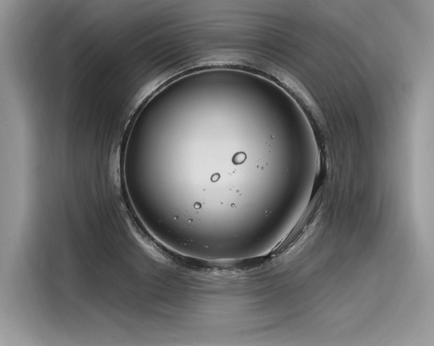X0000116260842200911301151