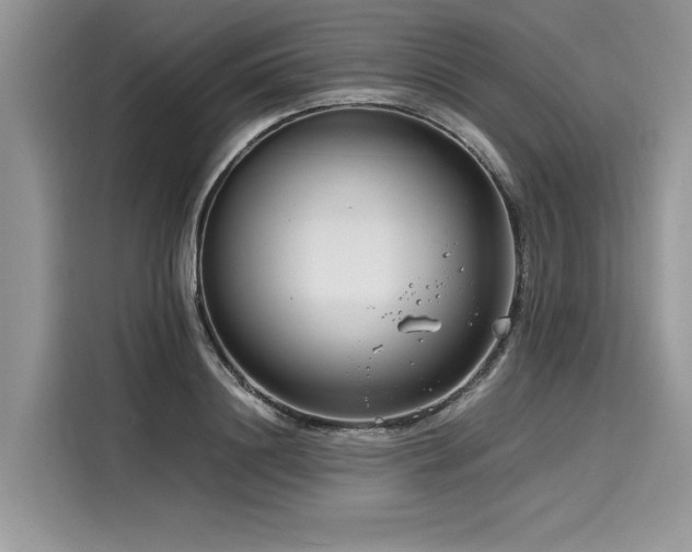 X0000116260844200911301151