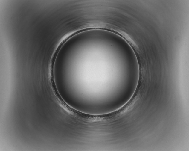 X0000116260846200911301151